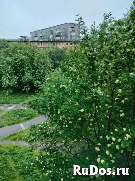 Продам 3 комнатную квартиру 55 м2 изображение 3