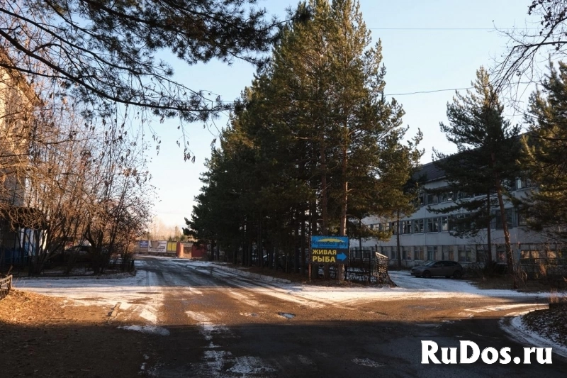Продаётся здание 3000 м² в Сосновоборске фотка