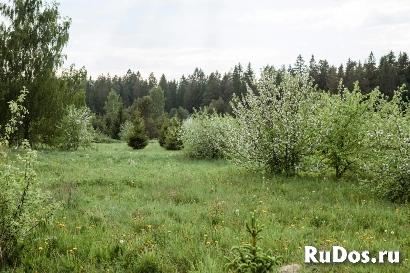 Продам участок 16 сот. картинка 7 Продам участок 16 сот. изображение 7