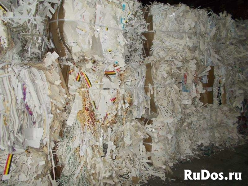 Закупаем макулатуру фотка