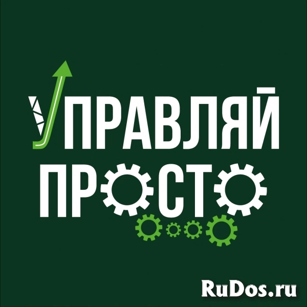 Оптимизация бизнеса, консалтинг, разработка и внедрение управленческих инструментов фото
