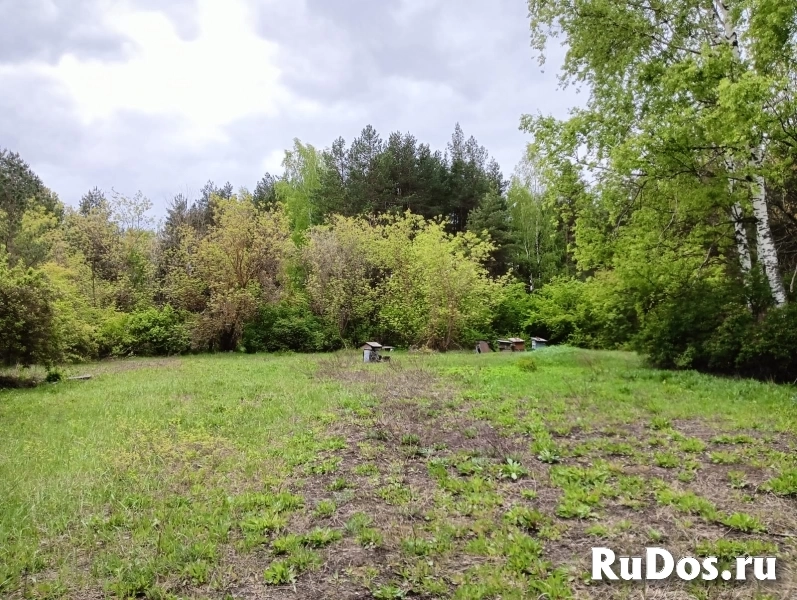 Продам коммерческую недвижимость 103 м2 изображение 7