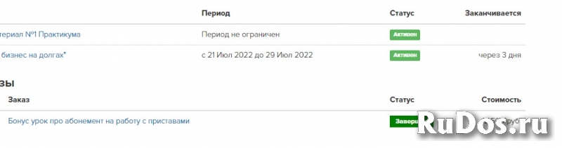 Бизнес на долгах и дистанционное управление работой приставов ФСС фото