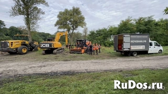 Расчистка территорий от деревьев и пней от 1 Га изображение 9