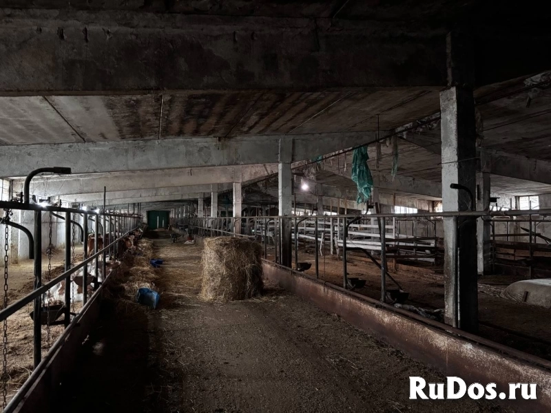 Сдам коммерческую недвижимость 3350 м2 изображение 3