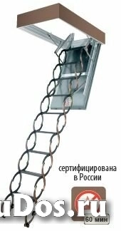 Лестница ножничная металлическая 50x70 LSF-300 фото