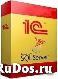 Право на использование (электронно) 1С Клиентский доступ на 1 р.м. к MS SQL Server 2019 Full-use для 1С:Предприятие 8. фото