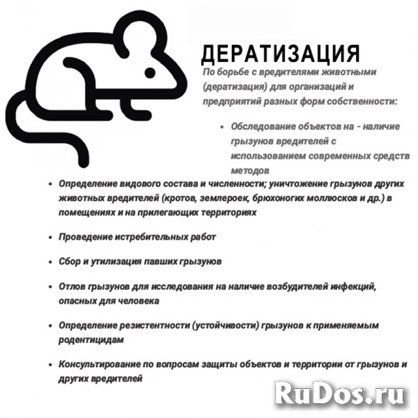 Служба дезинфекции «УМКа» - Дератизация уничтожение грызунов Служба дезинфекции «УМКа» - Дератизация уничтожение грызунов фото