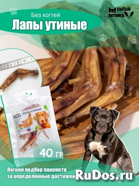 Лакомства для собак Энергия изображение 4