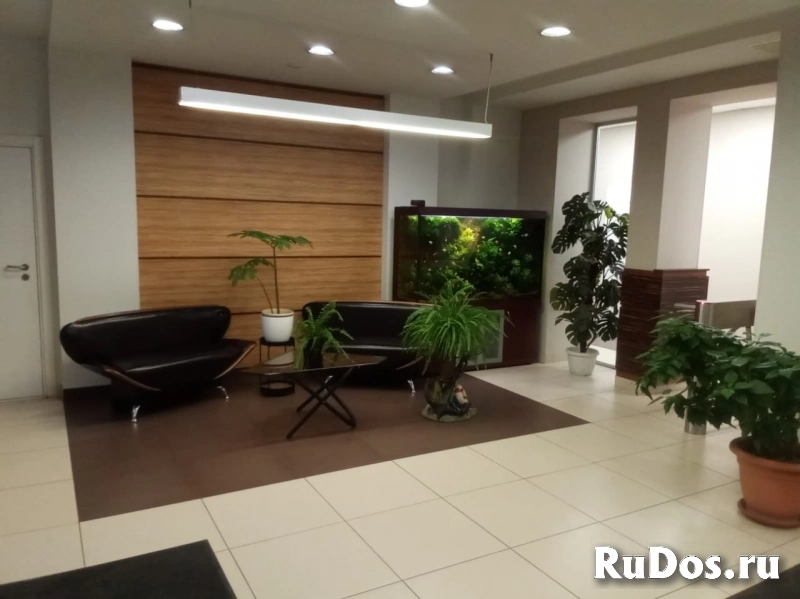 Сдам коммерческую недвижимость 23.5 м2 изображение 3