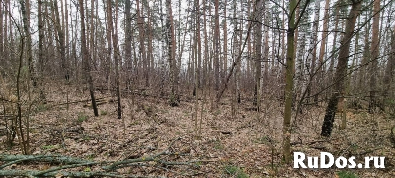 Продам коммерческую недвижимость 15000 м2 изображение 3