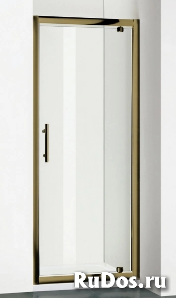 Душевая дверь в нишу RGW Passage PA-05 Br (860-910)x1850 стекло чистое, профиль бронза фото