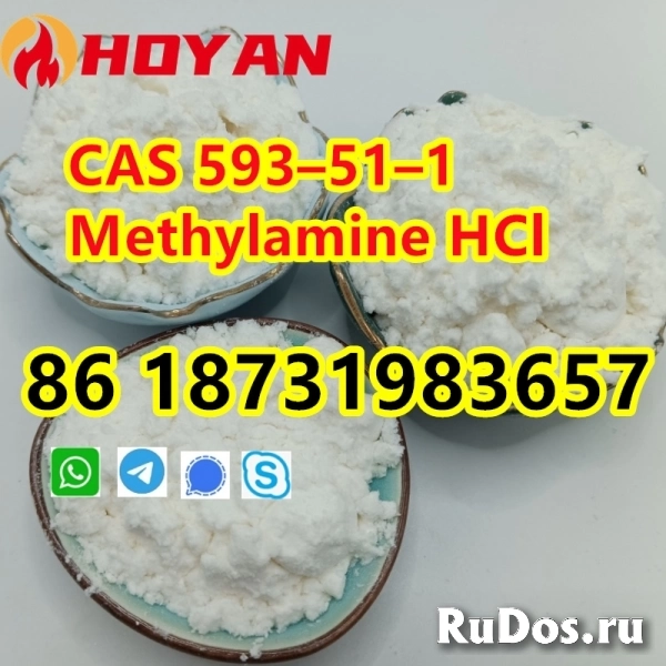 CAS 593–51–1 Methylamine HCl powder фотка