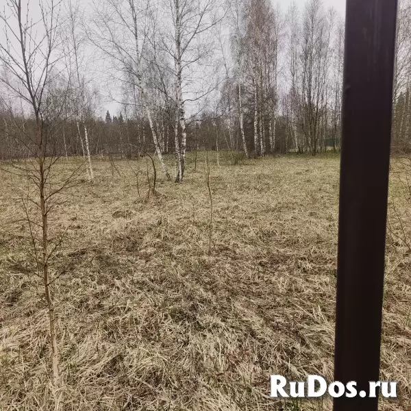 Продам земельный участок изображение 3