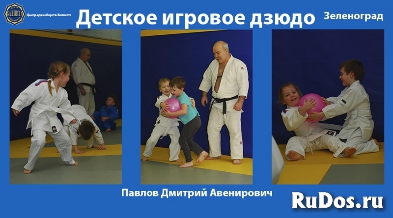 Единоборства в Зеленограде. Начинайте заниматься подготовительным дзюдо с 3 лет. фото