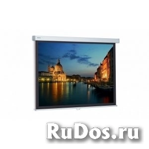 Проекционный экран Projecta ProScreen 162х280 см (10200090) фото