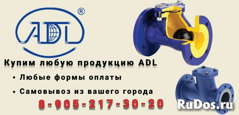 Куплю Обратный клапан фланцевый RD12 ГРАНЛОК Куплю Обратный клапан фланцевый RD12 ГРАНЛОК фото