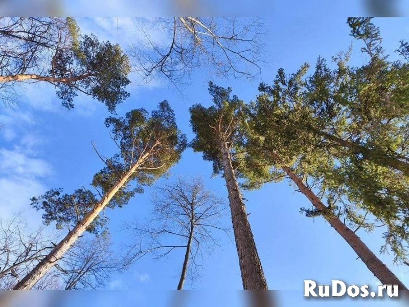 Продам участок 12 сот. изображение 3