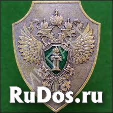 Адвокат по уголовным делам в Ростове-на-Дону фото