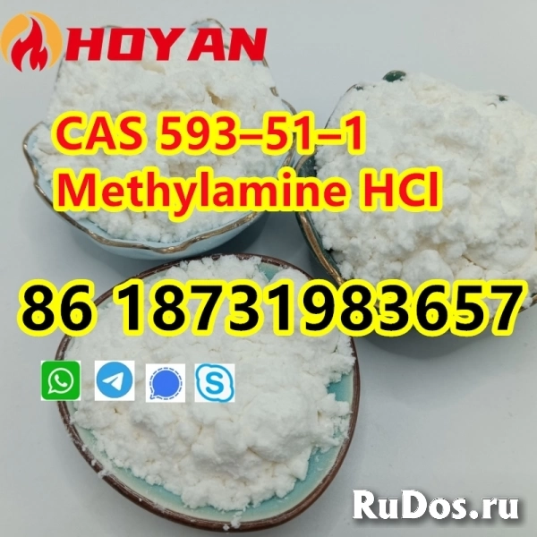 CAS 593–51–1 Methylamine HCl powder изображение 3