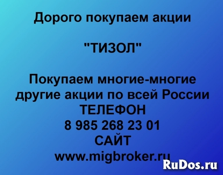 Покупка акций «ТИЗОЛ» фото