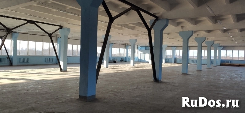 Сдам коммерческую недвижимость 2134 м2 фото