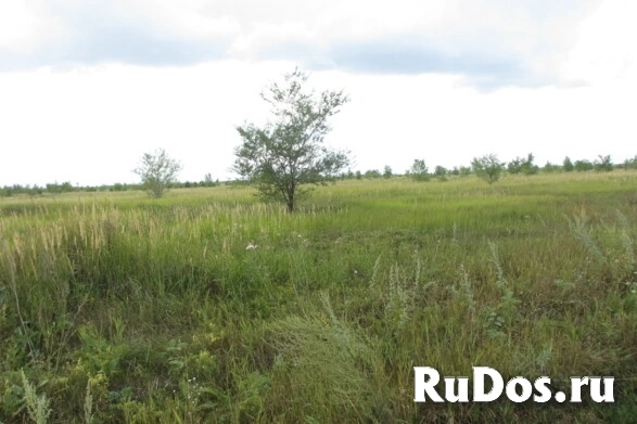 Продам коммерческую недвижимость 2300 сот изображение 3