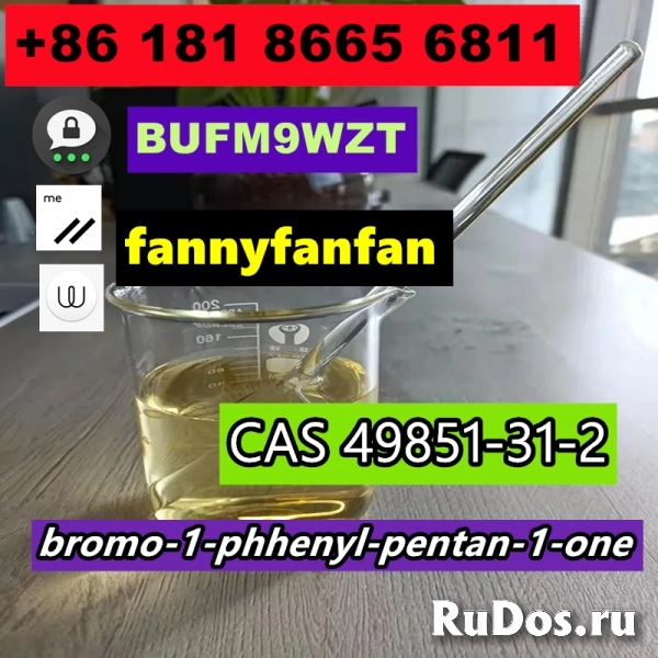 Telegram_fannyfanfann КАС 49851-31-2 бром-1-фенилпентан-1-он изображение 5