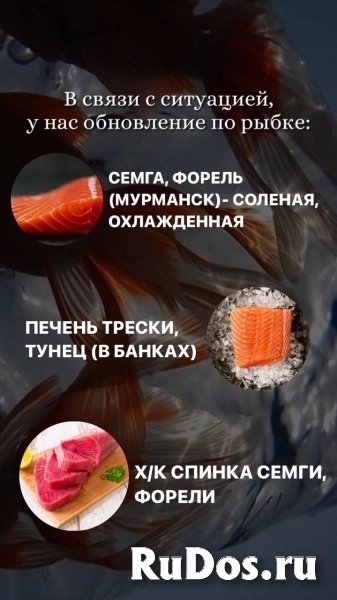 фермерские продукты! фото