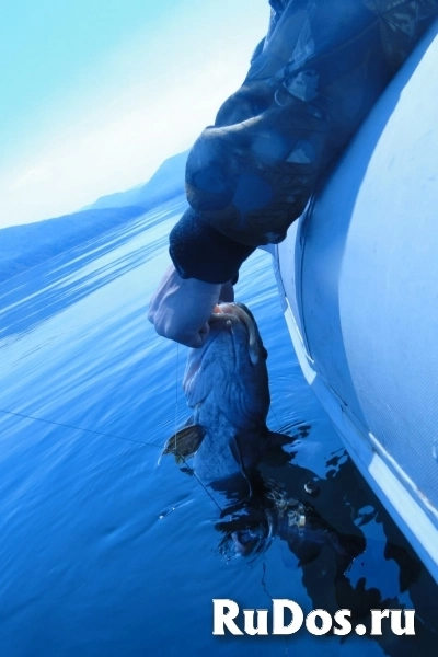 Тур по акватории Охотского моря. Навстречу китам изображение 6