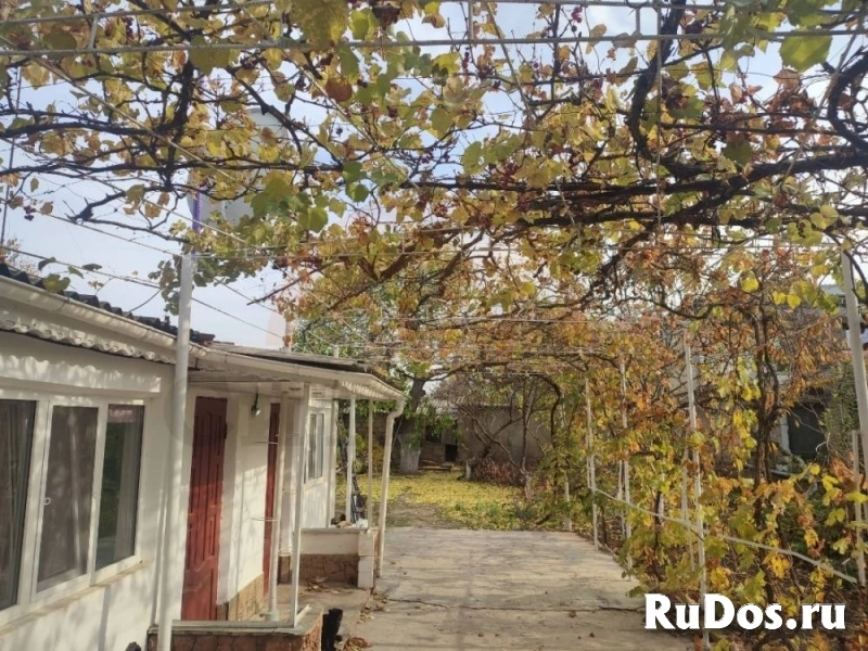 Продам дом 52 м2 объявление Продам дом 52 м2 фотка