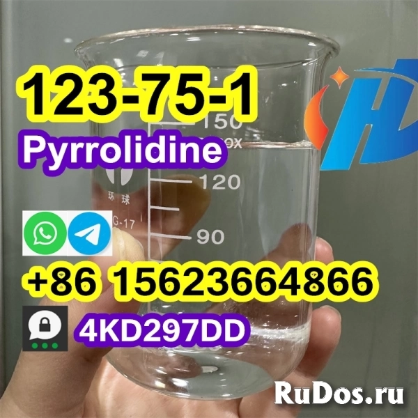Buy China Factory Pyrrolidine, cas 123-75-1, Kazakhstan, Russia изображение 6