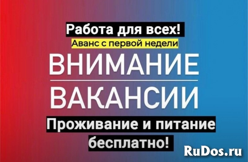 Работа вахтовым методом фото