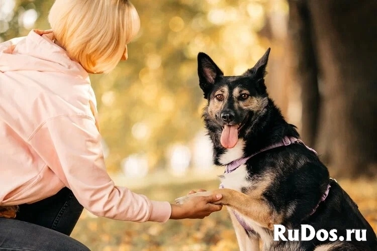 Макена ищет дом. изображение 5