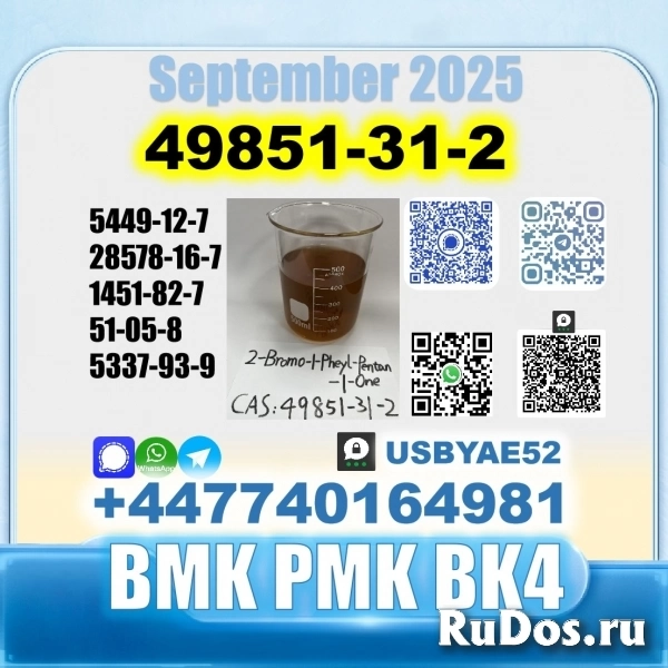 49851-31-2 BVF 2-Bromovalerophenone BK4 factory stale supply изображение 6