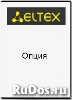 Опция ELTEX SMG2-RESERVE для активации резервирования по IP на платформе SMG-2016 фото