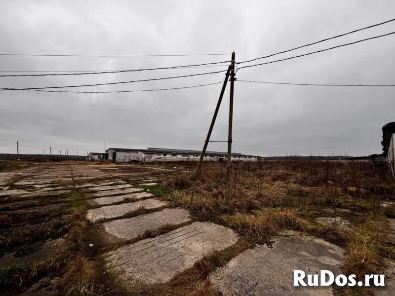 Сдам коммерческую недвижимость 3350 м2 изображение 10