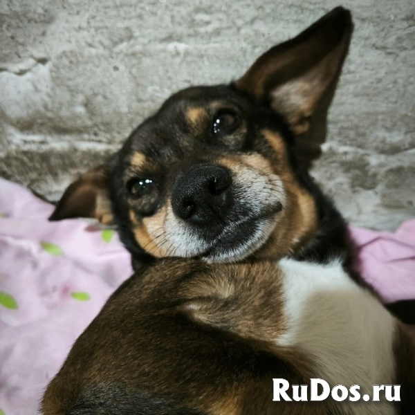 Чудесный мальчик Митя из приюта ищет семью. изображение 4