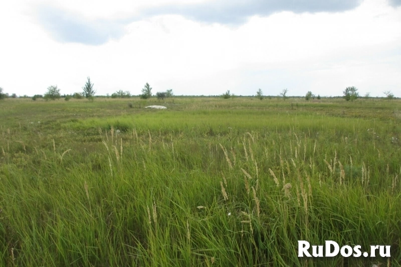 Продам коммерческую недвижимость 4500 сот изображение 7