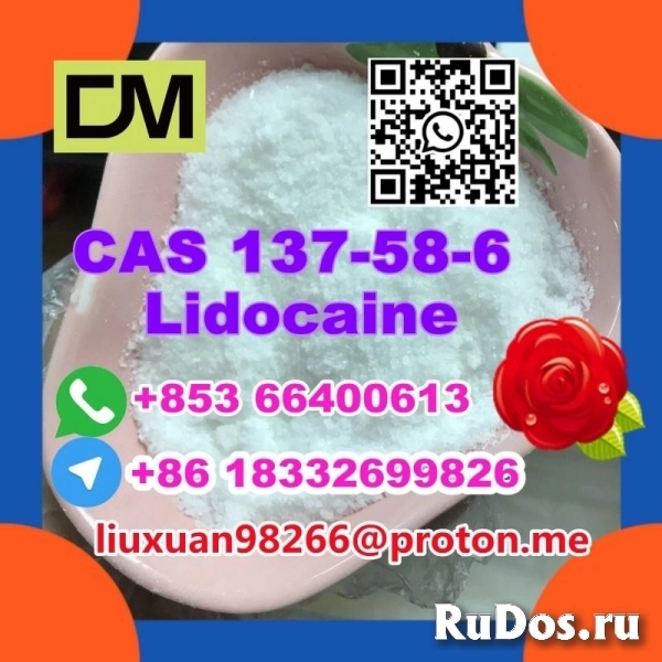 Manufacturer Supply Raw Material CAS 137-58-6 Lidocaine изображение 7