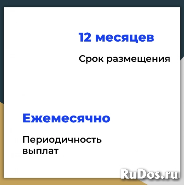 Инвестиции с доходностью 40% годовых. Без рисков изображение 3