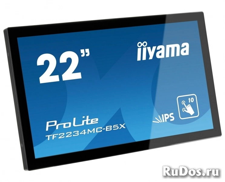 Профессиональный ЖК дисплей (панель) Iiyama TF2234MC-B5Х Сенсорный фото