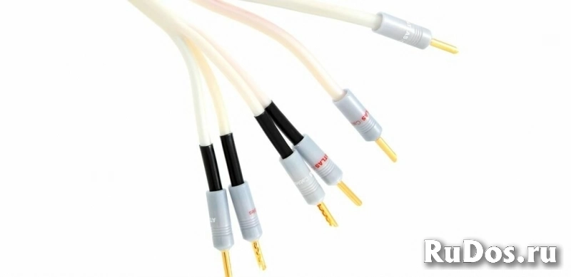 Пара акустических кабелей Atlas Equator Bi-Wire 2-4 3.0 м (spade) фото