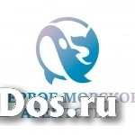 Военнослужащий по контракту на СВО фото