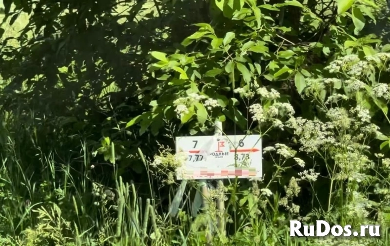 Продам участок 7.7 сот. изображение 6