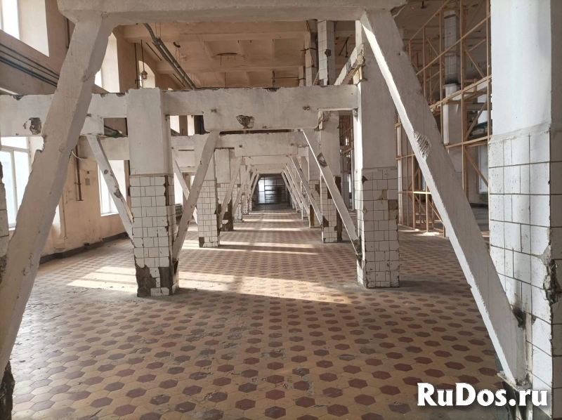 Сдам коммерческую недвижимость 891.6 м2 изображение 4