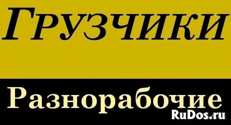 Услуги грузчиков в Москве и Московской области фото