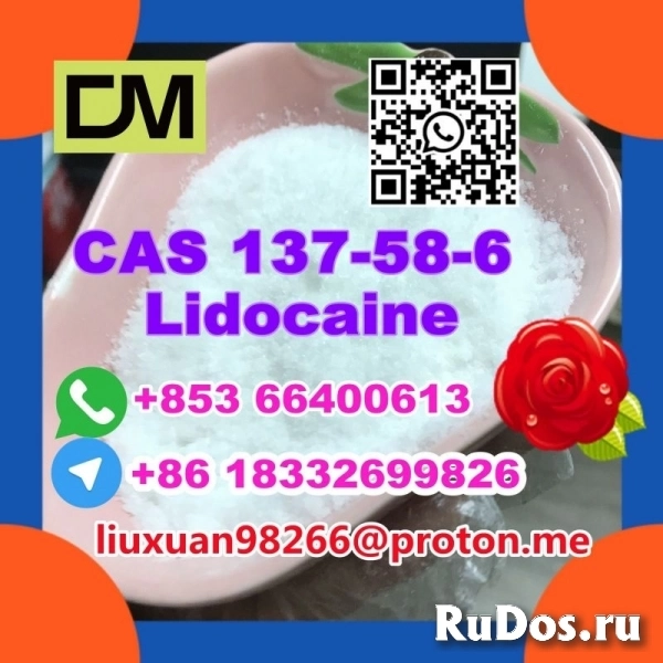 Manufacturer Supply Raw Material CAS 137-58-6 Lidocaine изображение 9