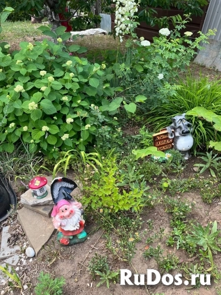 Продам дом 26 м2 изображение 7