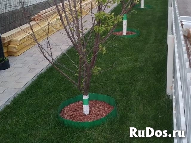 Рулонный газон с укладкой изображение 3